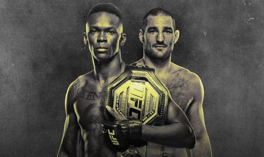 Файткард турнира UFC 293