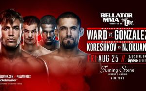 Результаты турнира Bellator 182