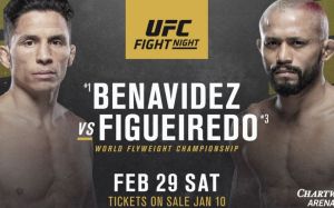Зарплаты участников турнира UFC Fight Night 169: Бенавидес - Фигейреду