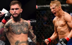  Коди Гарбрандт - Ти Джей Диллашоу на UFC 213