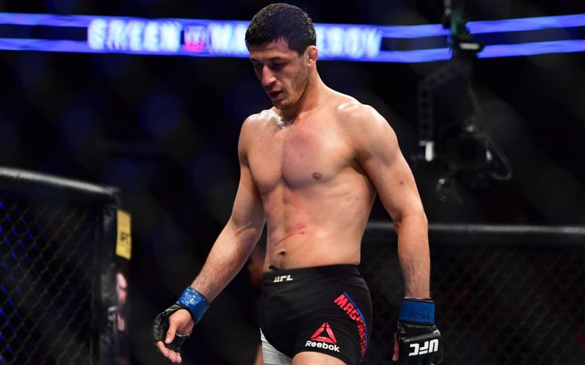 Рашид Магомедов может продолжить карьеру в ACB или Fight Nights