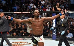 Обновленный рейтинг бойцов UFC за ноябрь 2018 года
