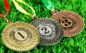 Итоги рейтинга прогнозистов ММА 2017