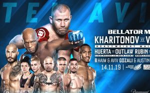 Файткард турнира Bellator 234: Сергей Харитонов - Линтон Васселл