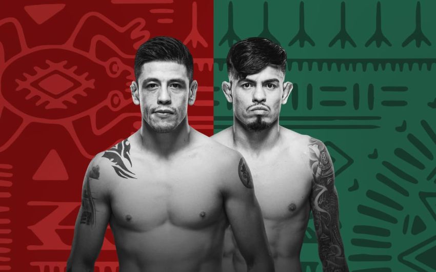 Прямая трансляция UFC Fight Night 237