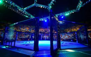 Промоушен UFC сделал заявление о возможном турнире в России