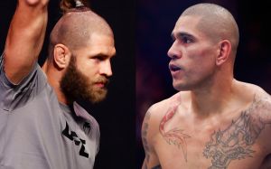 Ставки на UFC 303: Коэффициенты на турнир Алекс Перейра – Иржи Прохазка 2