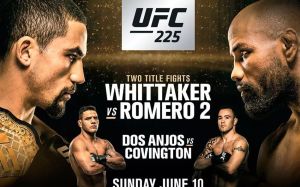 Зарплаты участников турнира UFC 225