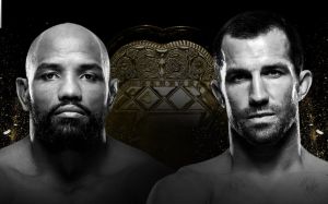 Видео боя Йоэль Ромеро - Люк Рокхолд UFC 221