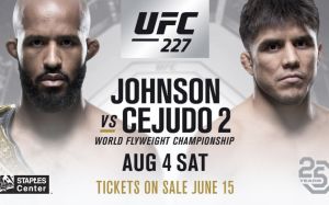 Видео боя Деметриус Джонсон - Генри Сехудо UFC 227