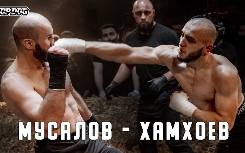 Видео боя Ислам Хамхоев - Махмуд Мусалов TDFC 7