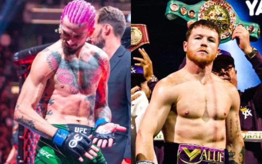 О'Мэлли уверен в превосходстве турнира Noche UFC над шоу Канело – Берланга по количеству проданных PPV: "Мы его раздавим"