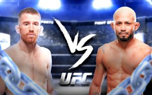 UFC on ESPN 67. Смотреть онлайн прямой эфир