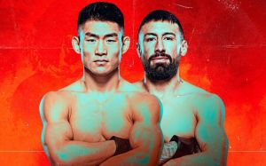 Файткард турнира UFC Fight Night 233