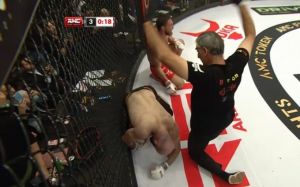 Владимир Минеев нокаутировал Магомеда Исмаилова в третьем раунде на AMC Fight Nights 105, совершив яркий камбэк