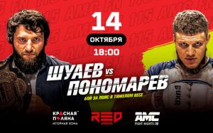 Прямая трансляция AMC Fight Nights 115