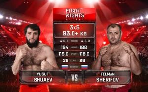Видео боя Юсуп Шуаев - Тельман Шерифов Fight Nights Global-GFC