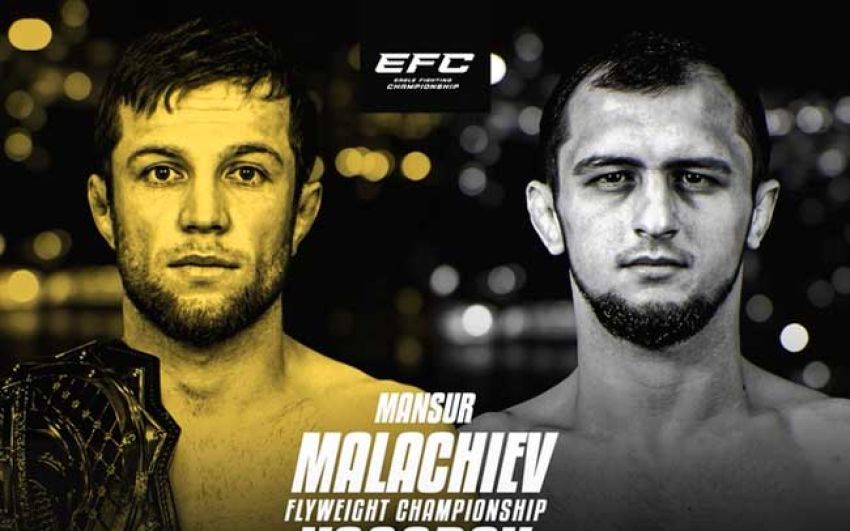 Видео боя Рашид Вагабов - Мансур Малачиев EFC 38