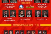 Видео боя Майкон Силван – Павел Витрук ACA 160