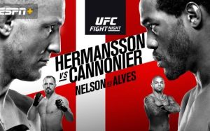 Файткард турнира UFC Fight Night 160: Джек Херманссон - Джаред Каннонье
