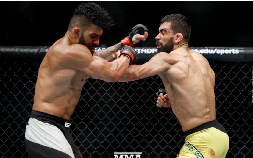Элизеу Залески надеется на признание после победы на турнире UFC 224