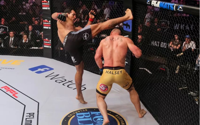 Результаты турнира PFL 5: Джейсон Хай - Натан Шульте