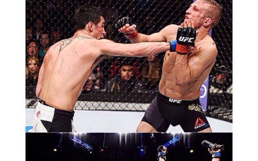Зарплаты участников UFC Fight Night 81