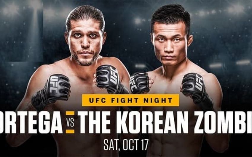 UFC Fight Night 180. Смотреть онлайн прямой эфир