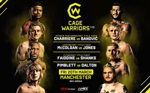 Прямая трансляция Cage Warriors 113: Даррен Стюард – Бартош Фабински