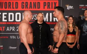 Результаты турнира Bellator 198: Емельяненко - Мир