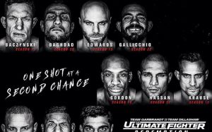 Немного о составе участников The Ultimate Fighter 25