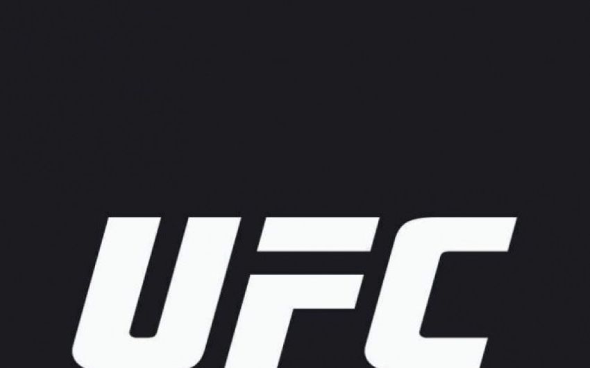 Рейтинг бойцов UFC за май 2019 года 