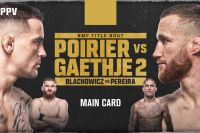 Файткард турнира UFC 291