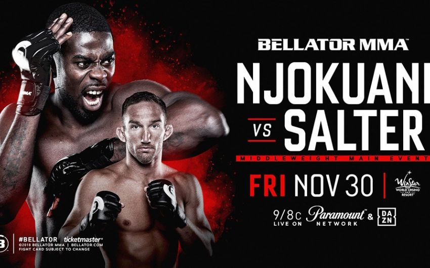 Видео боя Чиди Нджокуани – Джон Солтер Bellator 210