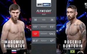Видео боя Магомед Бибулатов - Роджерио Бонторин, UFC Fight Night 144