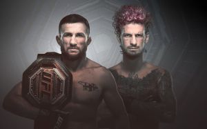 Прямая трансляция UFC 316