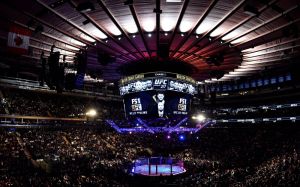 Зарплаты участников турнира UFC 217, а также выплаты от REEBOK