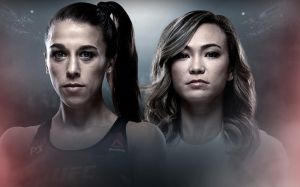 Где смотреть UFC Fight Night 161: Йоанна Енджейчик - Мишель Уотерсон