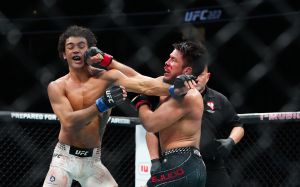 Результаты турнира UFC 323