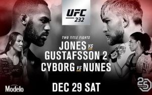 Файткард турнира UFC 232: Джон Джонс - Александр Густафссон