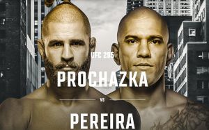 Файткард турнира UFC 295