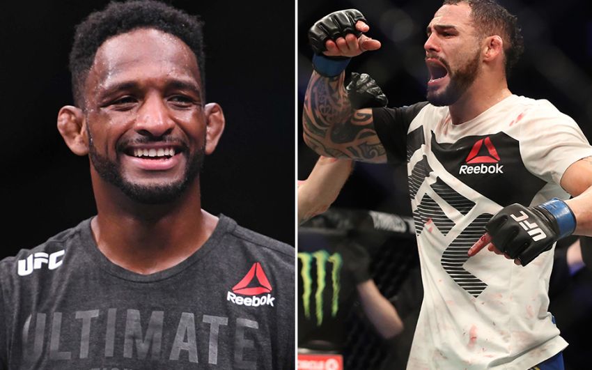 Битва взглядов участников турнира UFC Fight Night 140: Понзиниббио - Магни