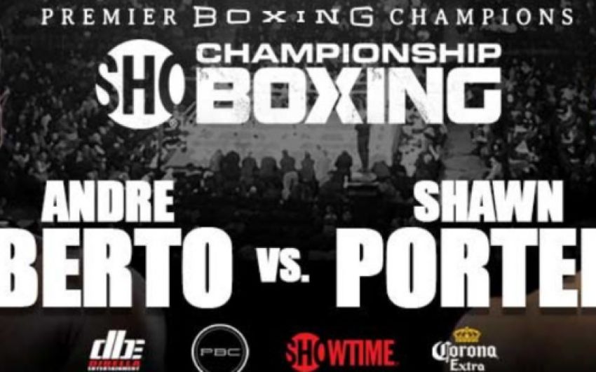 БК Fightnews.info. Тур 13. 22- 23 апреля 2017