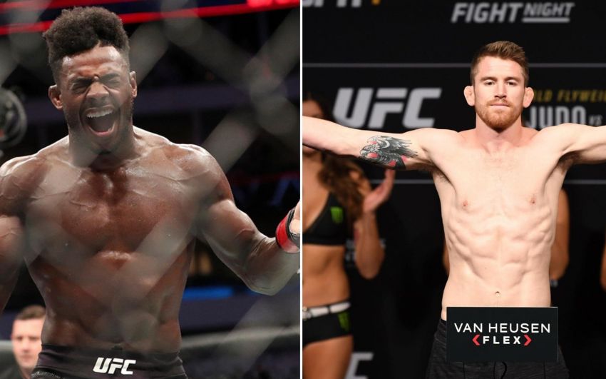 Алджамейн Стерлинг подерется с Кори Сандхагеном на UFC 250