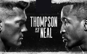 Файткард турнира UFC Fight Night 183: Стивен Томпсон - Джефф Нил