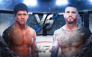UFC Fight Night 242. Смотреть онлайн прямой эфир