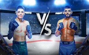 UFC Fight Night 246. Смотреть онлайн прямой эфир