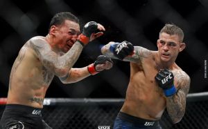 Медицинские отстранения после турнира UFC 236