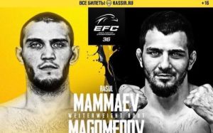Видео боя Расул Маммаев – Шамидхан Магомедов EFC 36