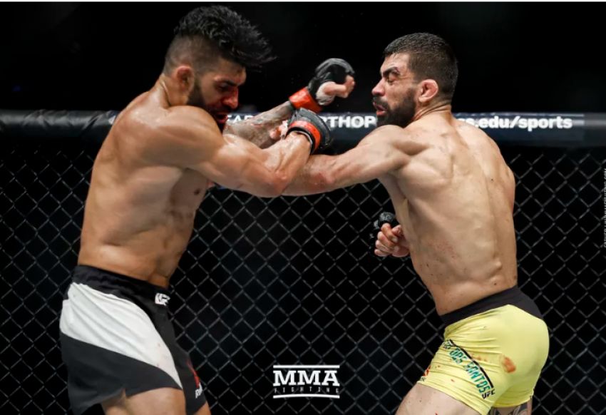 Элизеу Залески надеется на признание после победы на турнире UFC 224